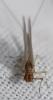 357896 – Photo : Christian Berquer – France (05)